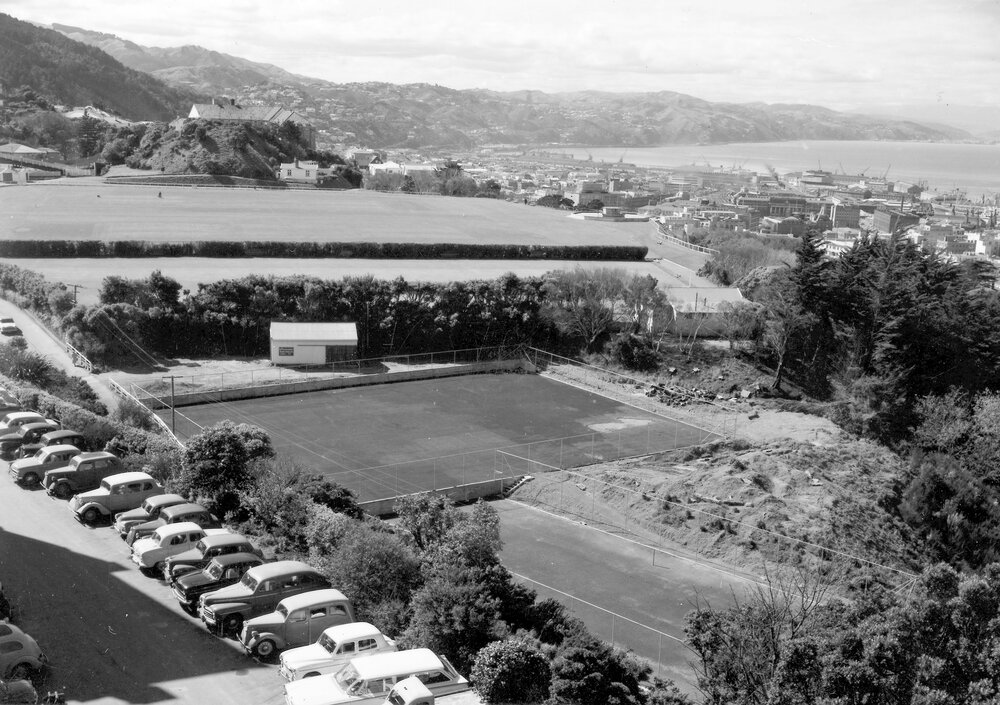 Views - from campus across inner city [from Hunter looking north]