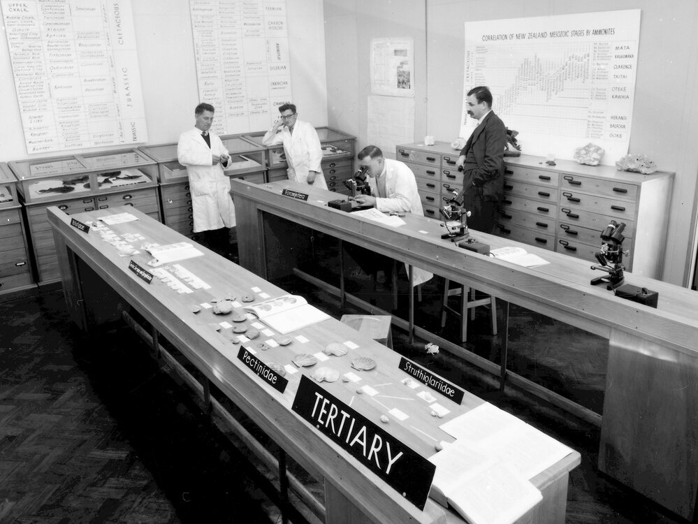 Interiors - Easterfield, Geology Dept [?Exhibit for 1959 Conversazione]