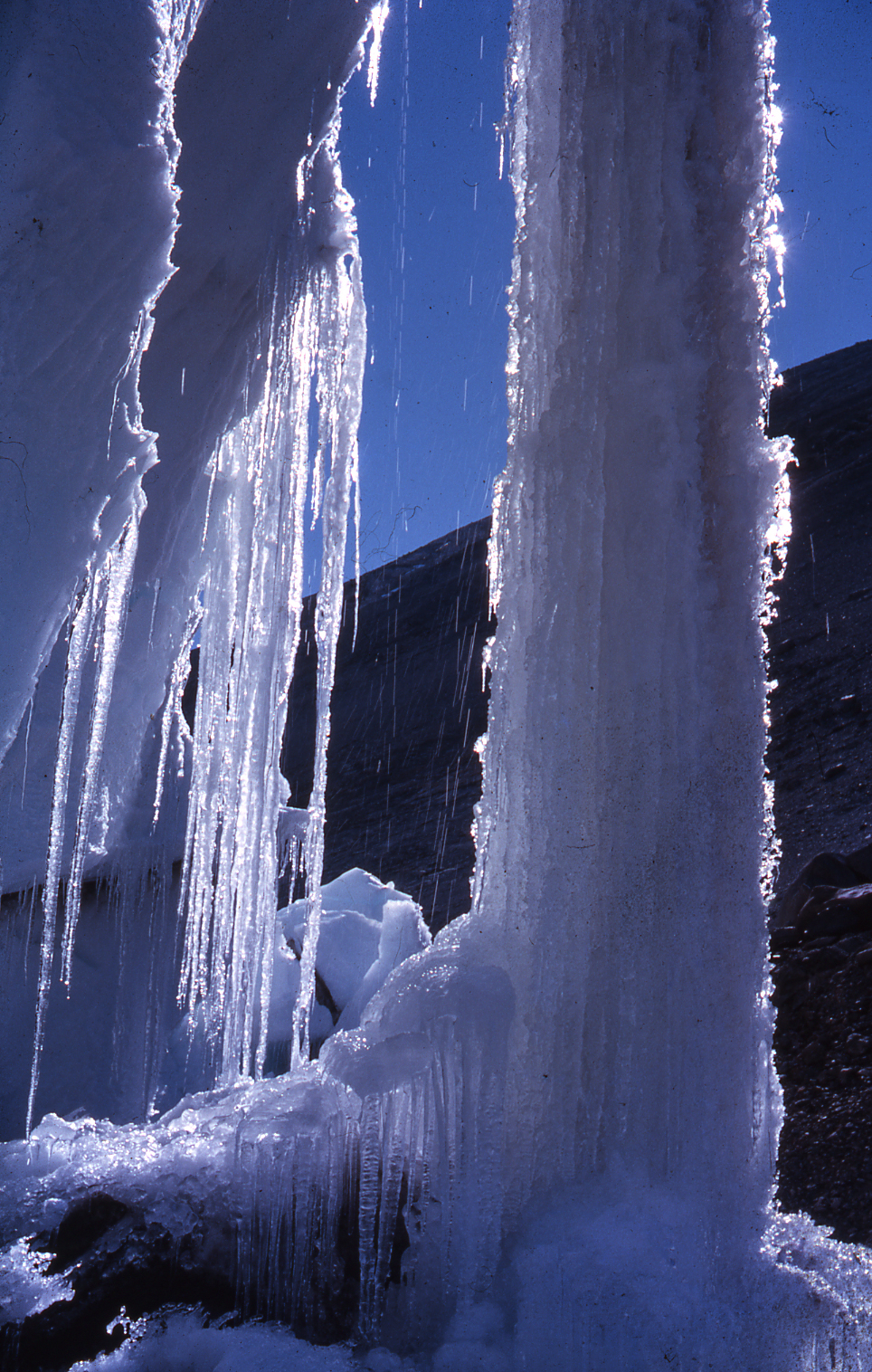 Icicles North side Taylor Glacier