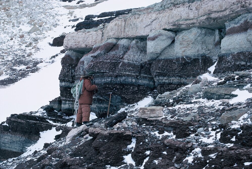 Aztec Siltstone at type section