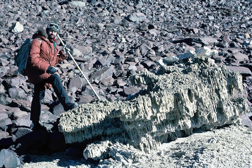 Trace fossil Scolithus burrows &ndash; Beacon Sst &ndash; dry valleys
