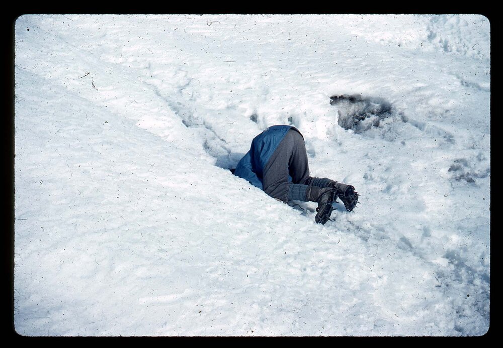 Thirsty! Melt water runs under ice over black stone
