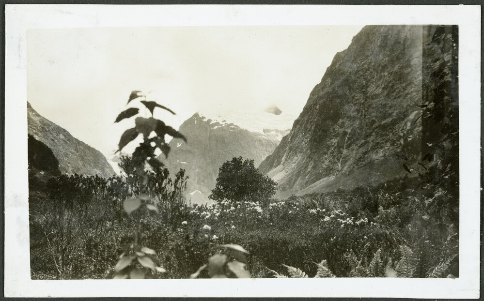 A view looking down the Hollyford (high up)