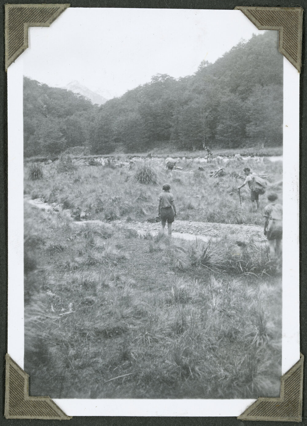 Flats above the Gorge