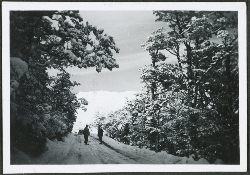Ruapehu from the road