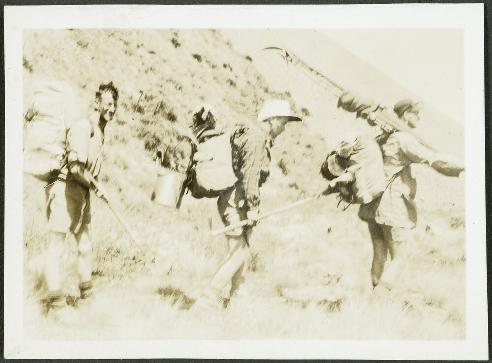 Steve Wilson, John McCreary, Dorian Saker.