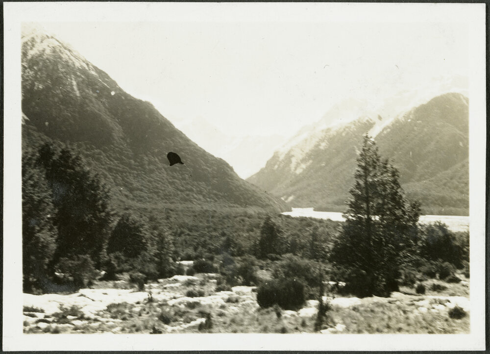 Mt Rolleston &amp; the Crow River from the Anticrow