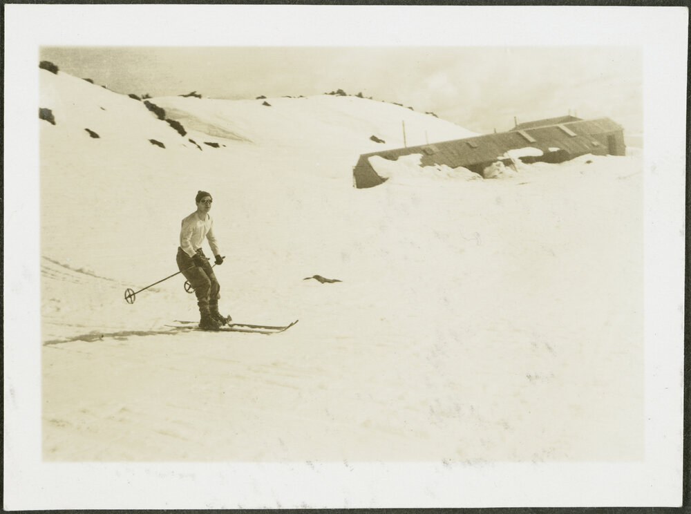 THE EXPERTS: Midge McLaughlin