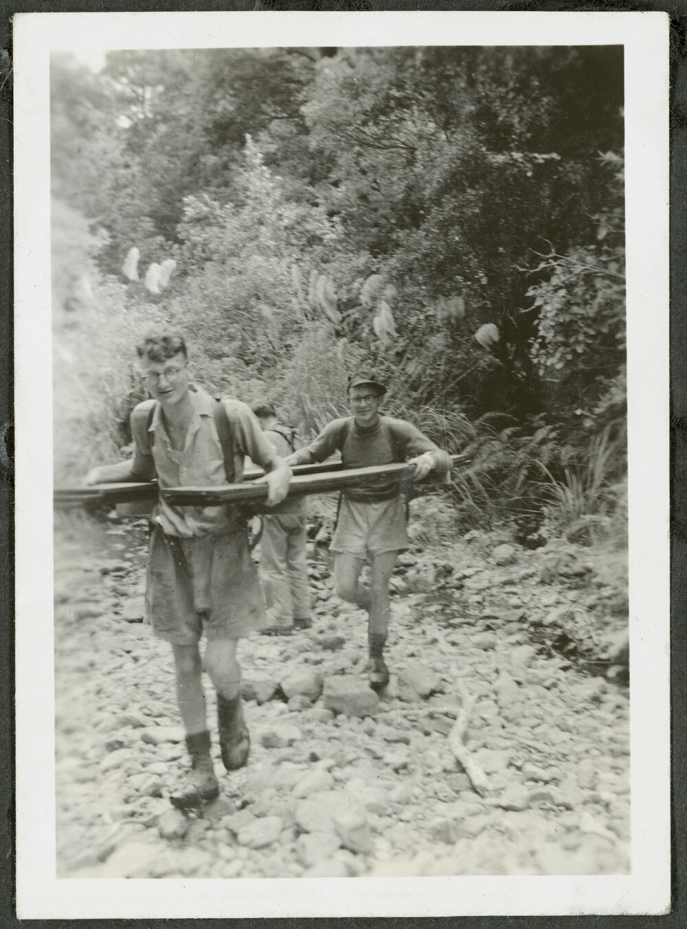 More timber - Bill Cameron, Peter Jenkins