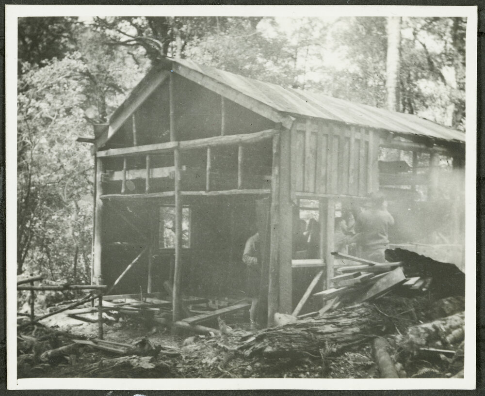 Progress. [Image of a partially built hut.]
