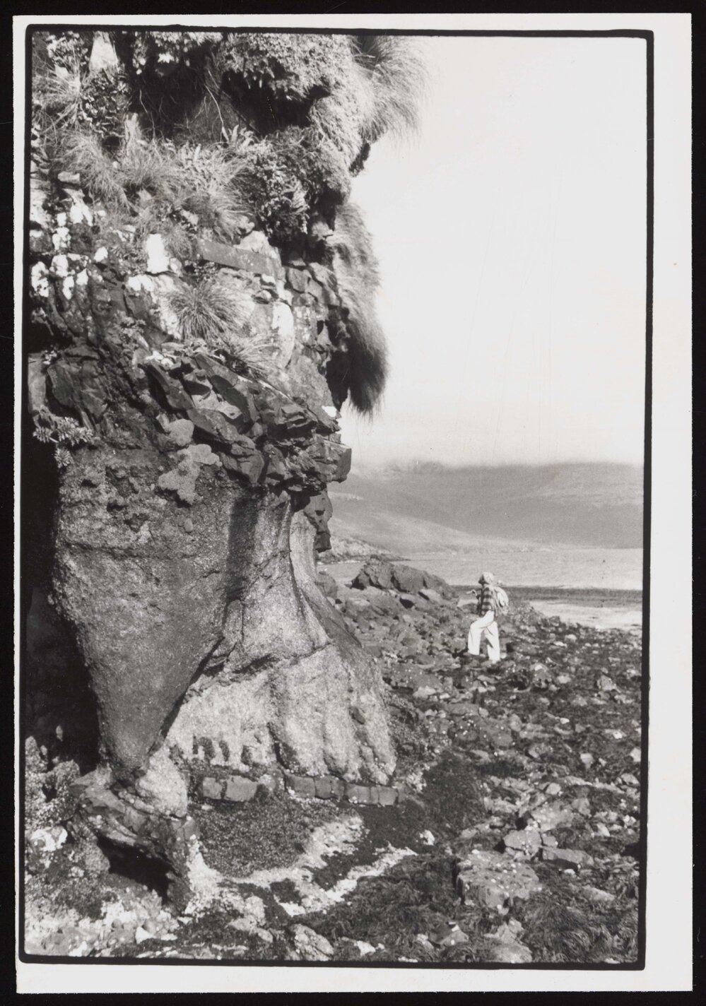 Basement Curnley Granite, Auckland Islands