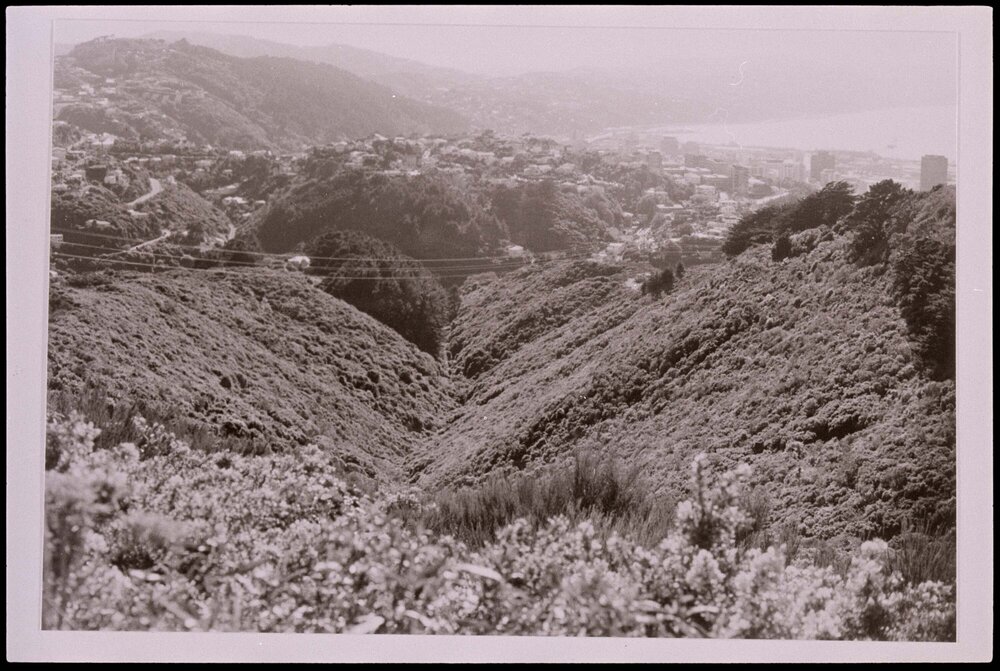 Polhill Gully from Hawkins Hill Rd