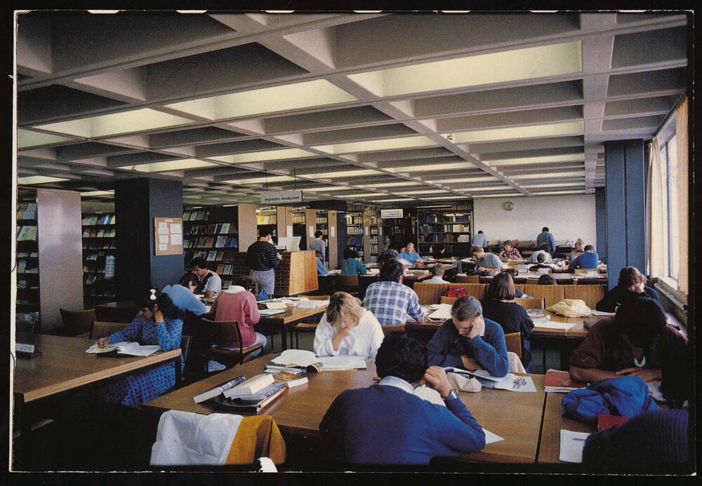 Students studying at tables in the Rankine Brown Library