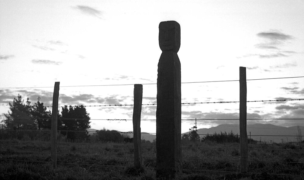 Pou at Pāpāwai marae