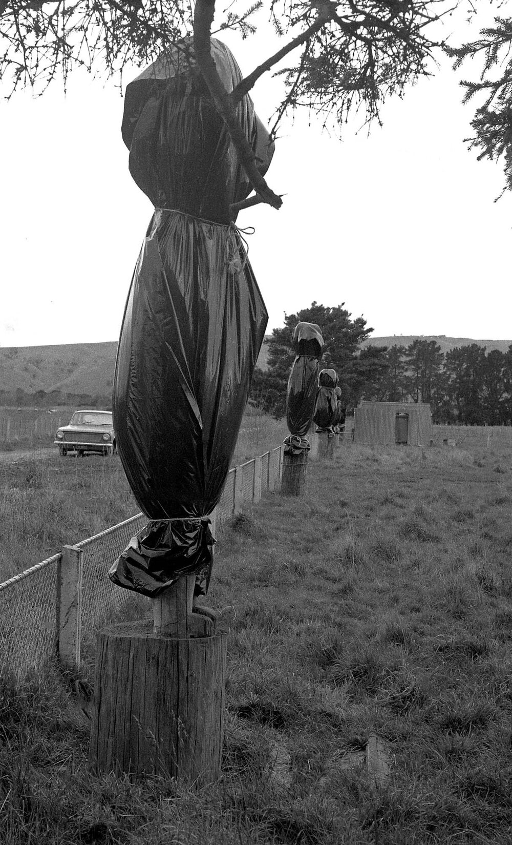 Covered tekoteko at Pāpāwai marae