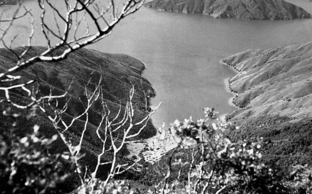 View down to Curious Cove, Marlborough Sounds