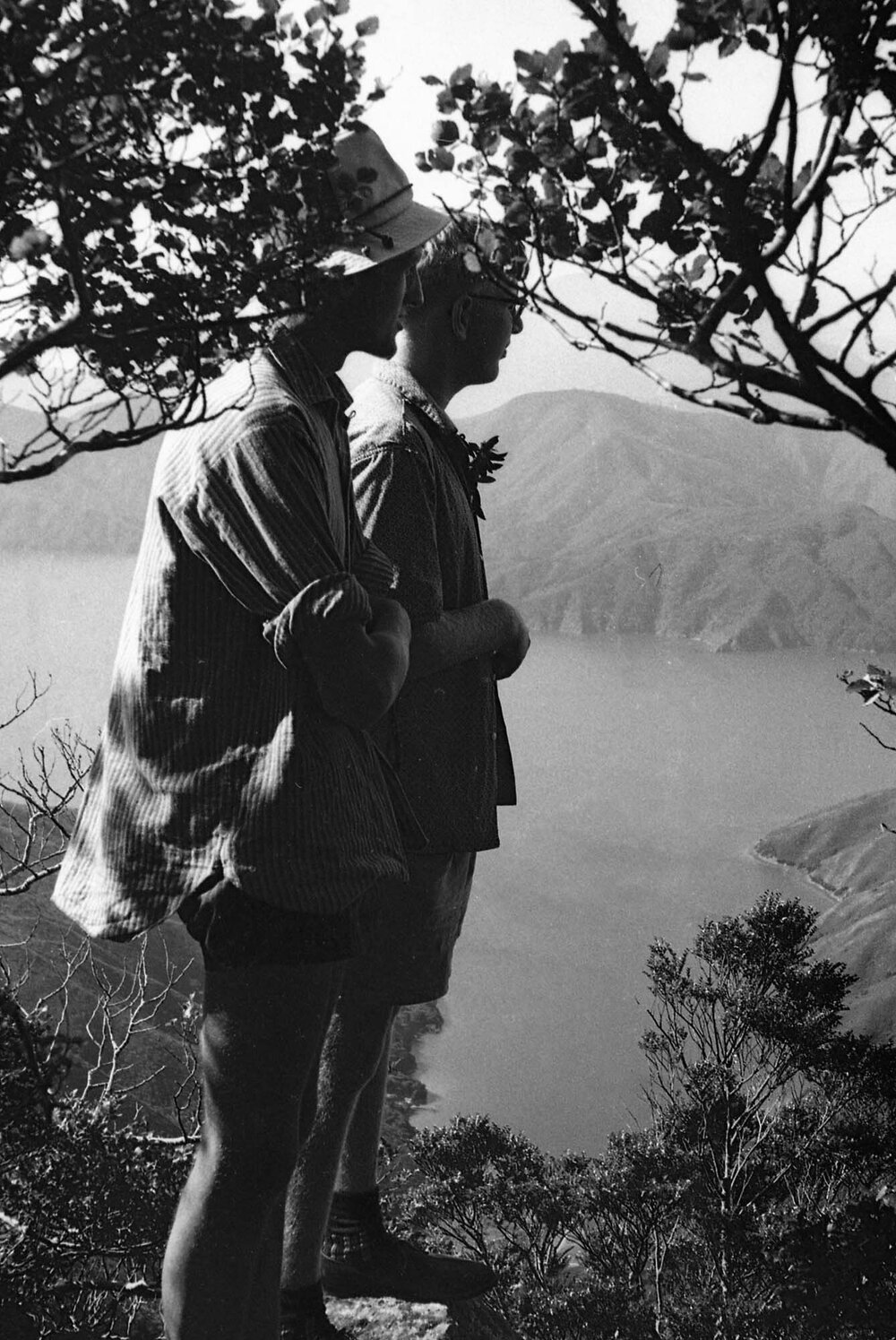 Students on the hill above Curious Cove