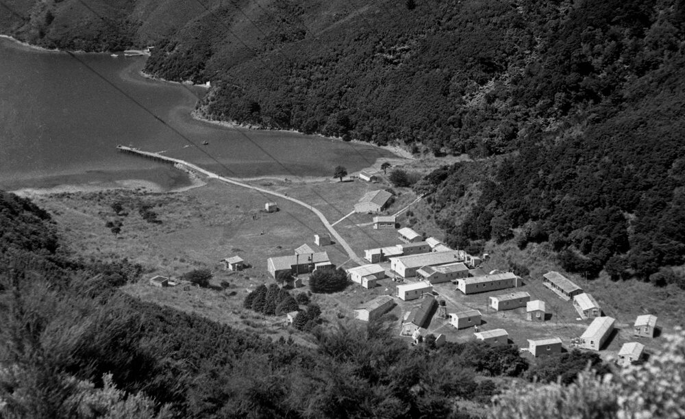 Aerial view of the camp accomodation for the annual Student Congress at Curious Cove