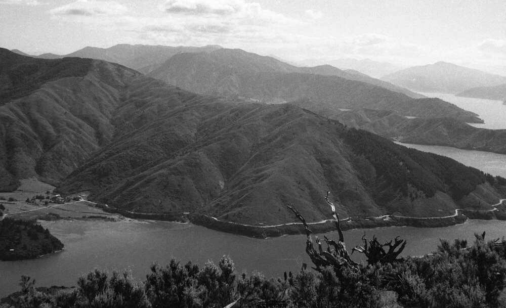 Bays surrounding Curious Cove, Marlborough Sounds