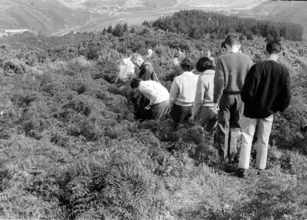 Students walking down hill on Botany field trip 