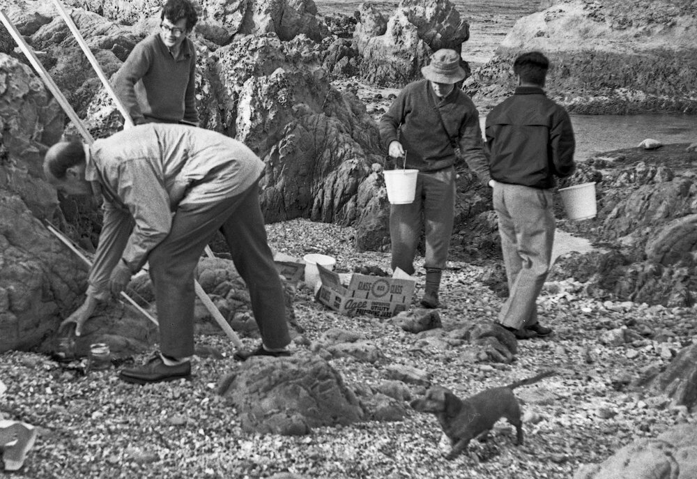 Students on Marine Ecology trip on Wellington South Coast