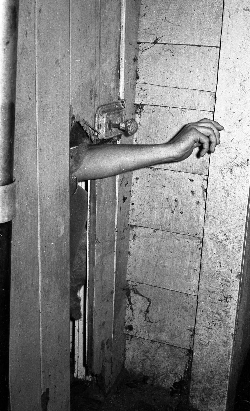 Science field trip accommodation [2]