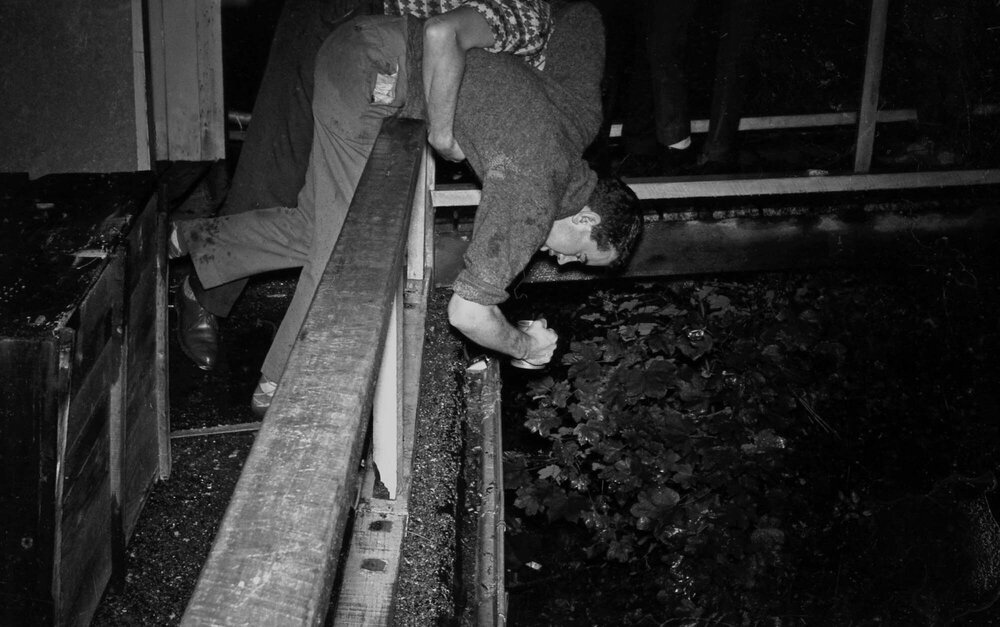 Student vomiting off the side of a balcony