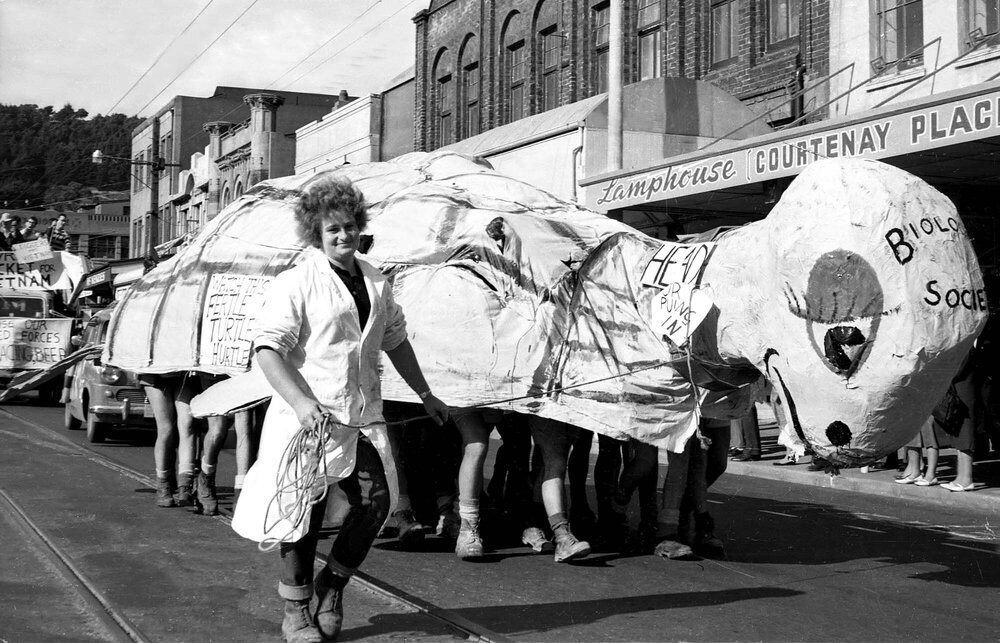 Students in a tortoise costume at the annual student procession through Wellington