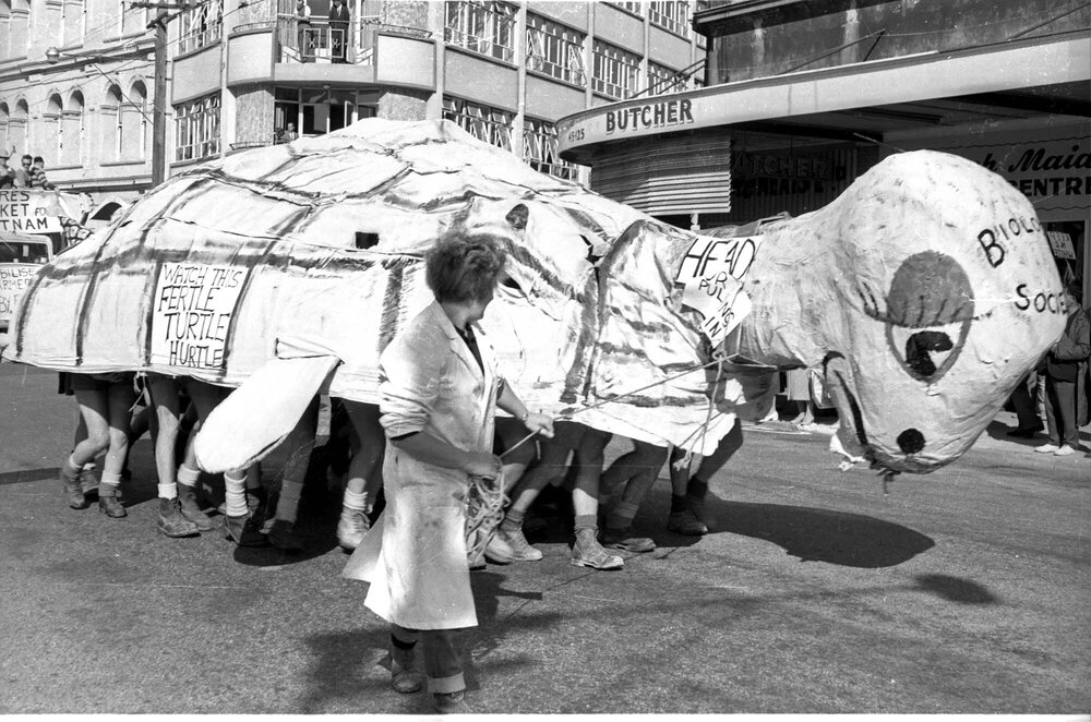 Students in a tortoise costume at the annual student procession