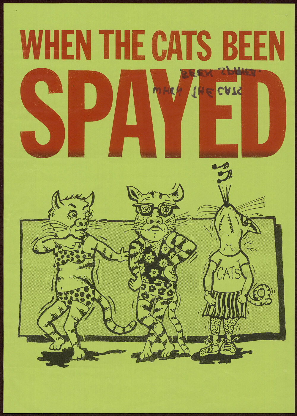 When the cats been spayed.