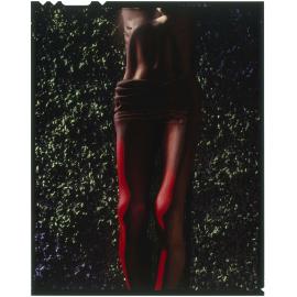 Futuna_Box1_008 (40)