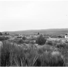 Views - Taurewa, Volcanic Plateau