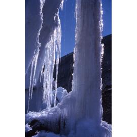 Icicles North side Taylor Glacier