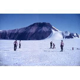 Cricket - Darwin Glacier style