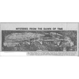 Newspaper picture – fossil fish