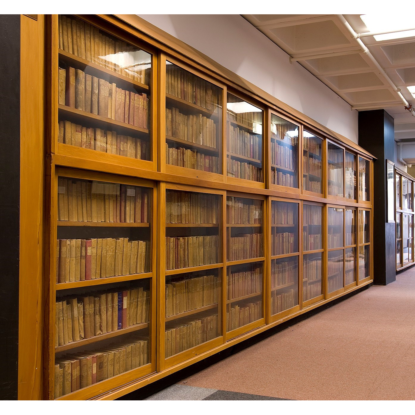 Brancepeth Station Library