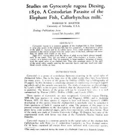 Studies on Gyrocotyle rugosa Diesing, 1850, A Cestodarian Parasite of the Elephant Fish, Callorhynchus milii