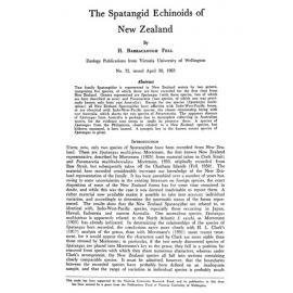 The Spatangid Echinoids of New Zealand