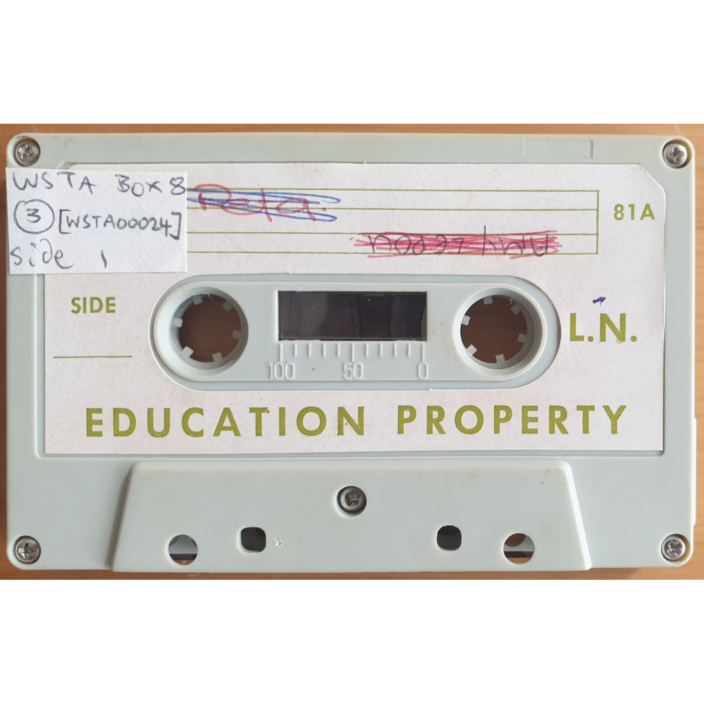 Peta Siulepa / Alick Shaw - Interviews about the protest movement