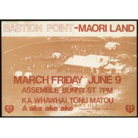 Bastion Point - Maori Land