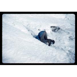 Thirsty! Melt water runs under ice over black stone