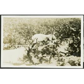 Road bridge above Chateau