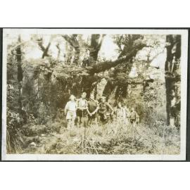 Descending the Hollyford