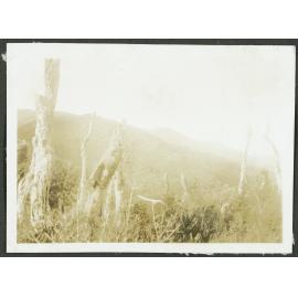 Baubau from near High Misty