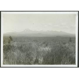 Ruapehu and Tongariro from just above the camp
