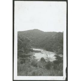 [Image of a river and forest, taken from above.]