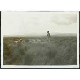 The food dump on desert road