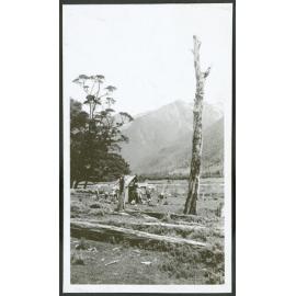 First Camp at Travers, near Lake Rotoiti