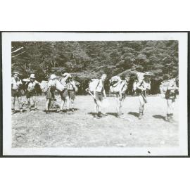 On the March. [Image of trampers lined up with packs on their backs.]