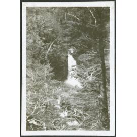 [Image of a waterfall surrounded by forest.]